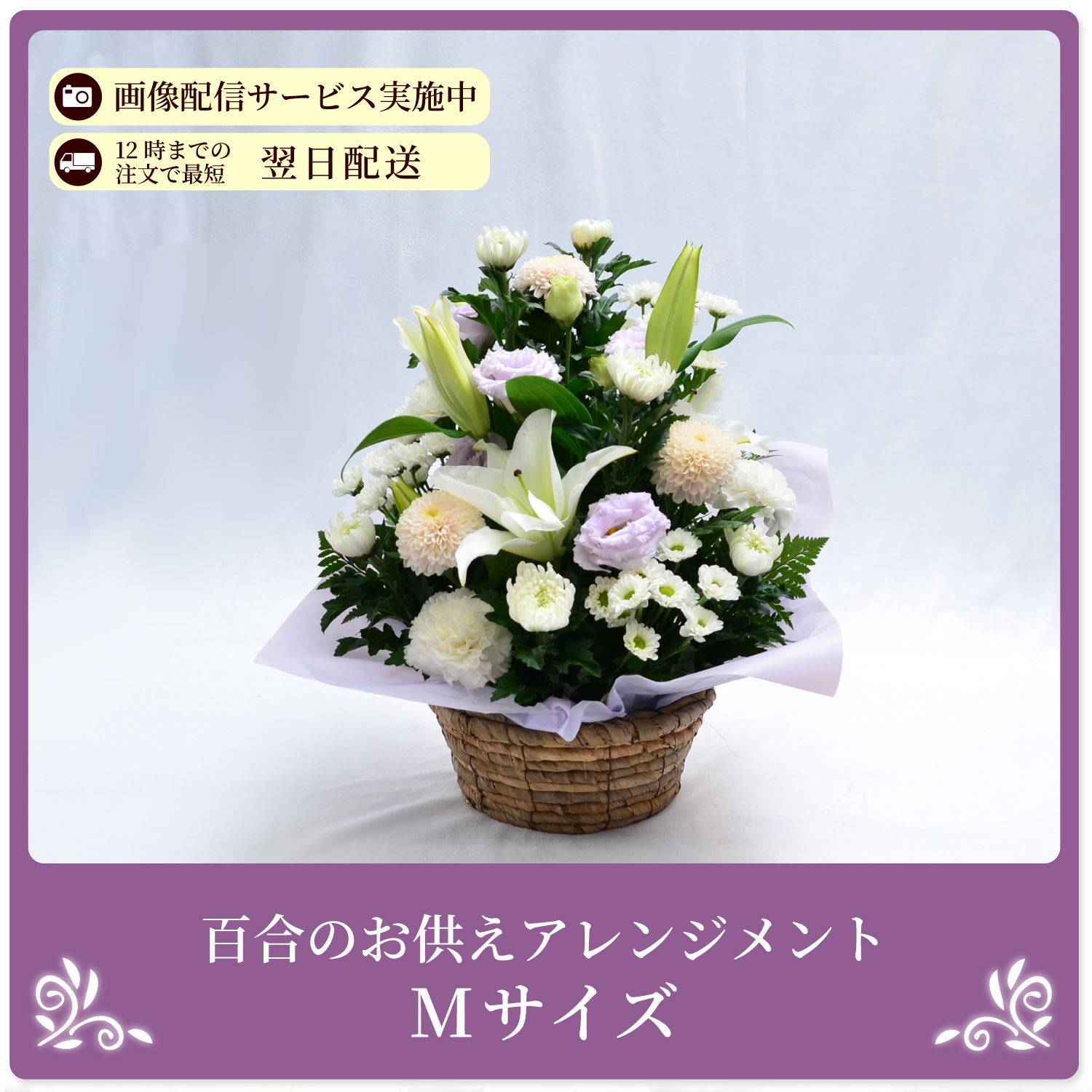 �S���̂������A�����W�����gm