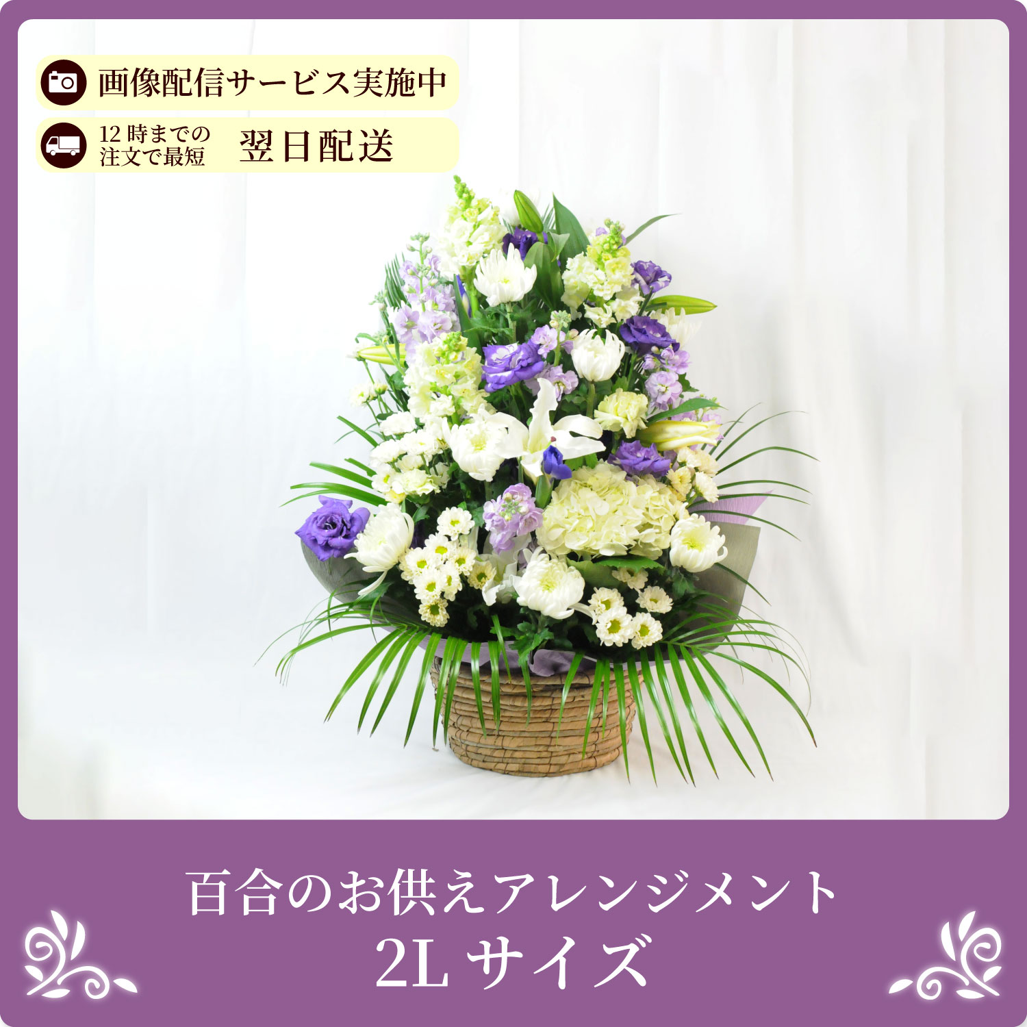 �S���̂������A�����W�����g2L�T�C�Y