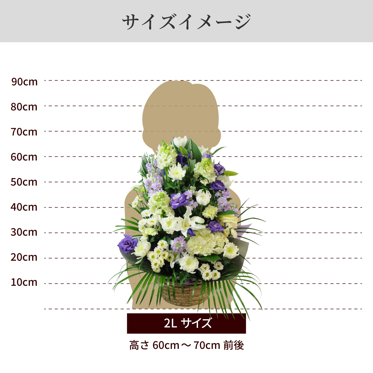 �T�C�Y�C���[�W