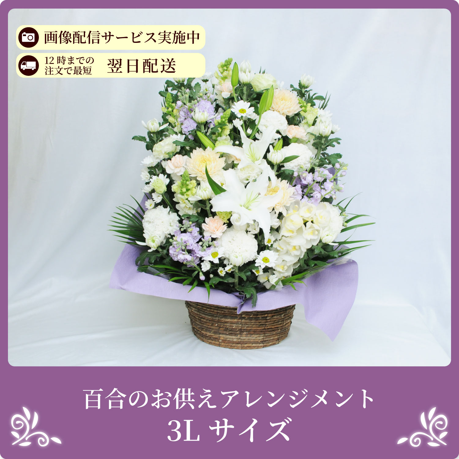 �S���̂������A�����W�����g3L�T�C�Y