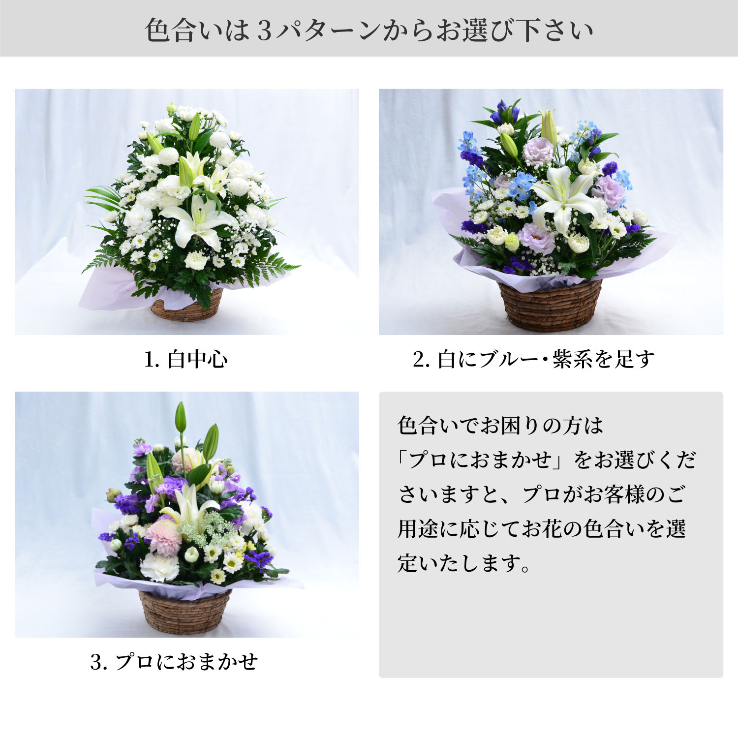 �F������3�p�^�[�����炨�I�т�������