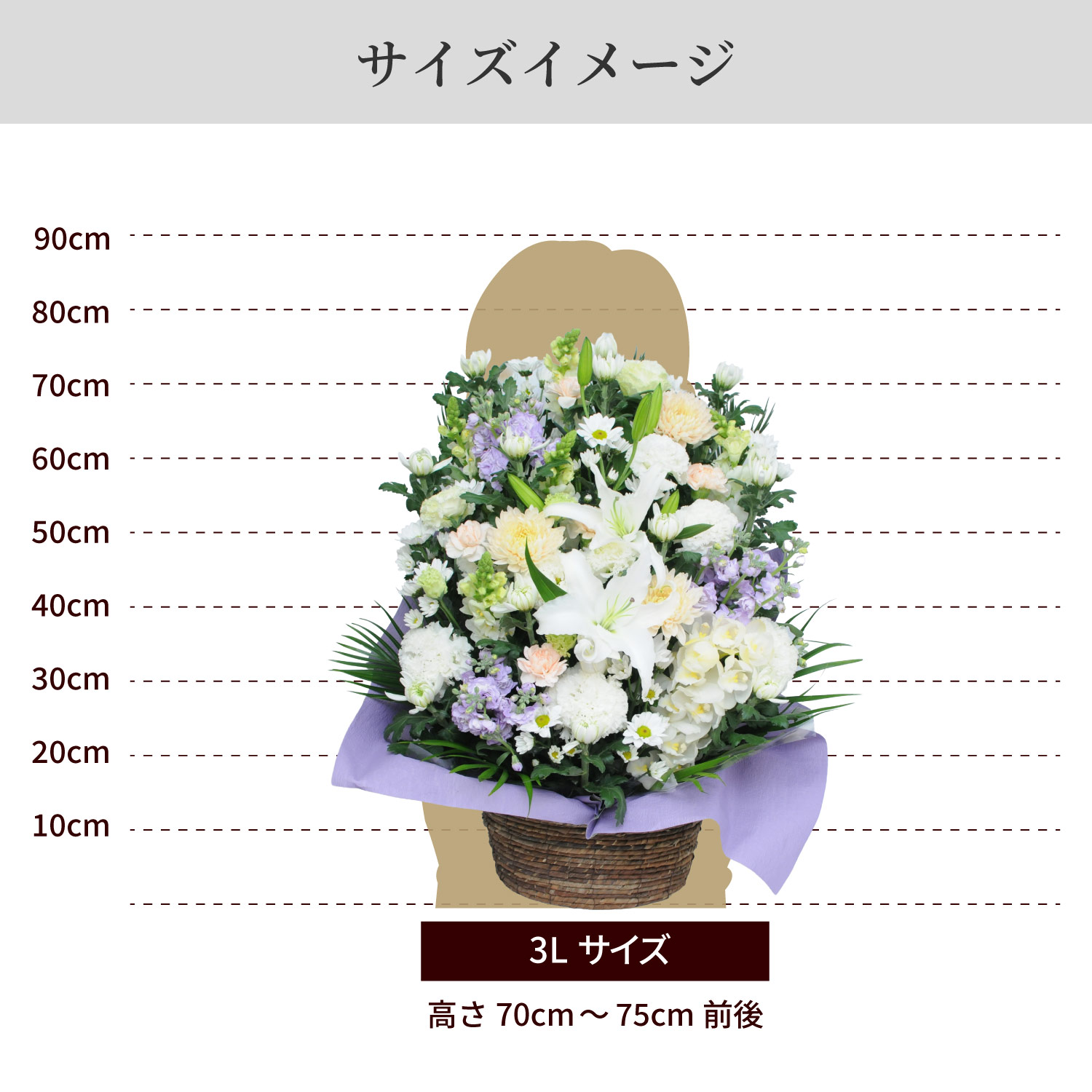�T�C�Y�C���[�W