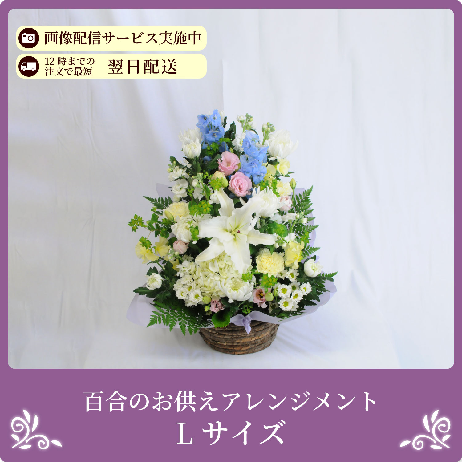 �S���̂������A�����W�����gL�T�C�Y