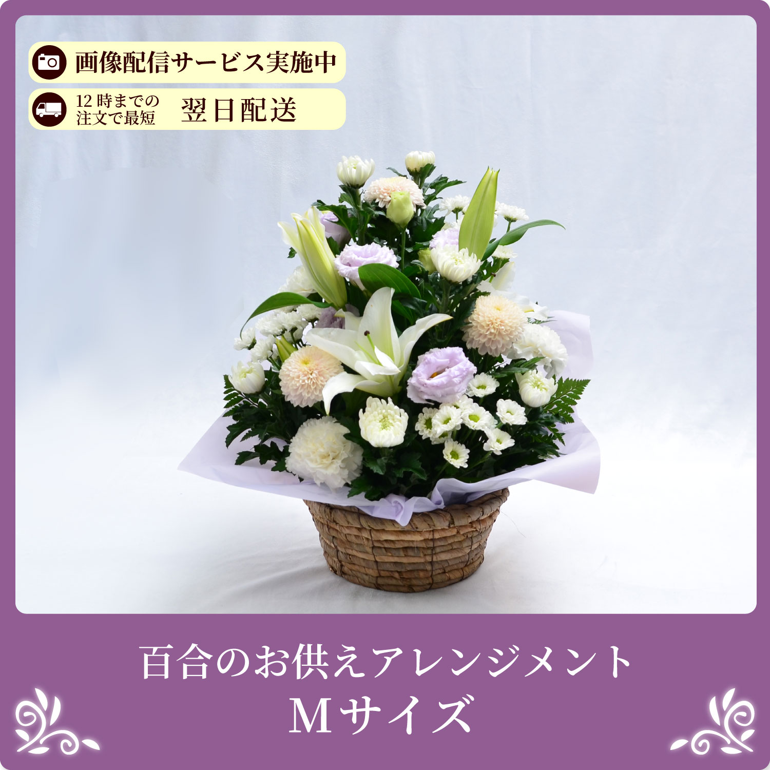 �S���̂������A�����W�����gM�T�C�Y