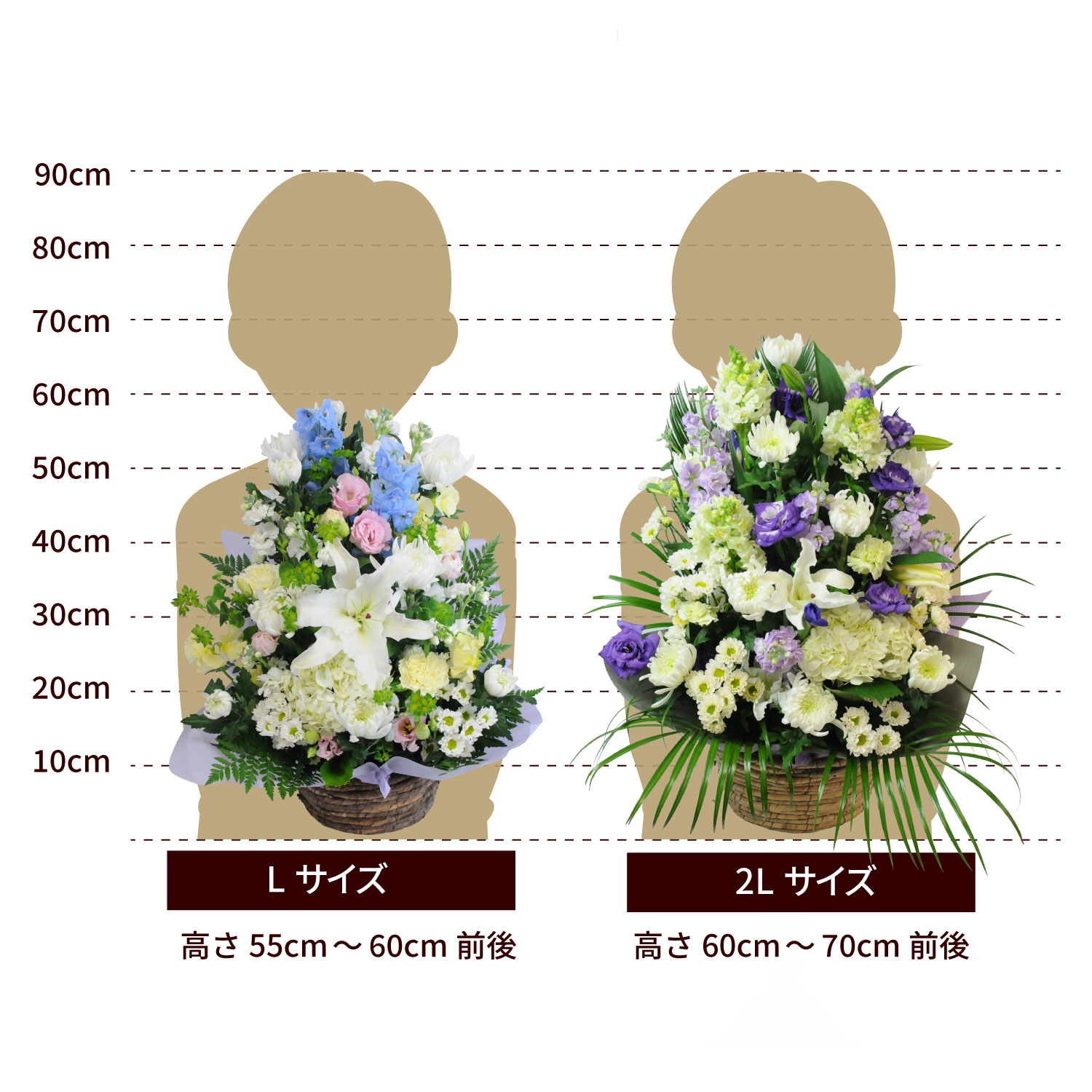 �S���̂������A�����W�����g�T�C�Y L�A2L