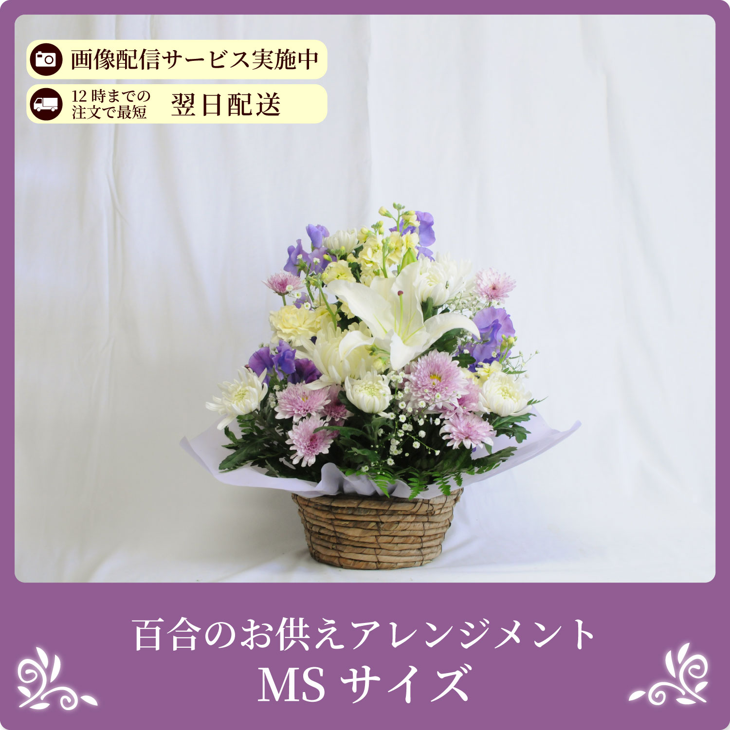 �S���̂������A�����W�����gMS�T�C�Y