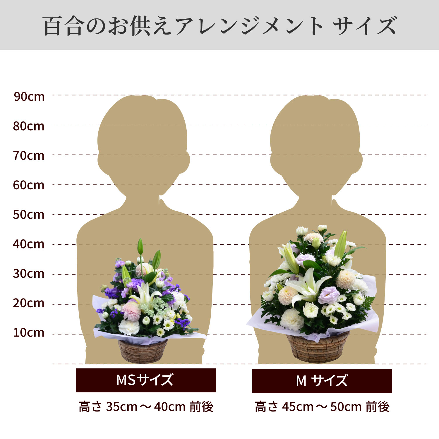 �S���̂������A�����W�����g�T�C�Y MS�AM