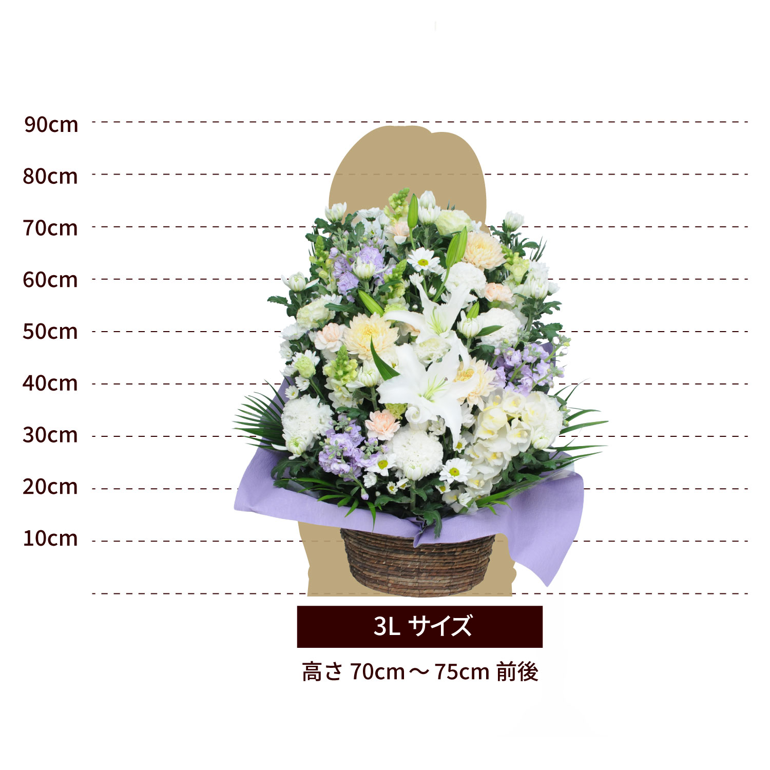 �S���̂������A�����W�����g�T�C�Y 3L