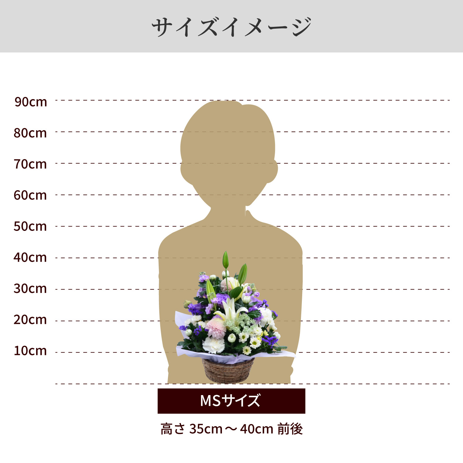 �T�C�Y�C���[�W