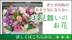 香りや花粉があまり気にならないお見舞いのお花。詳しくはこちら。