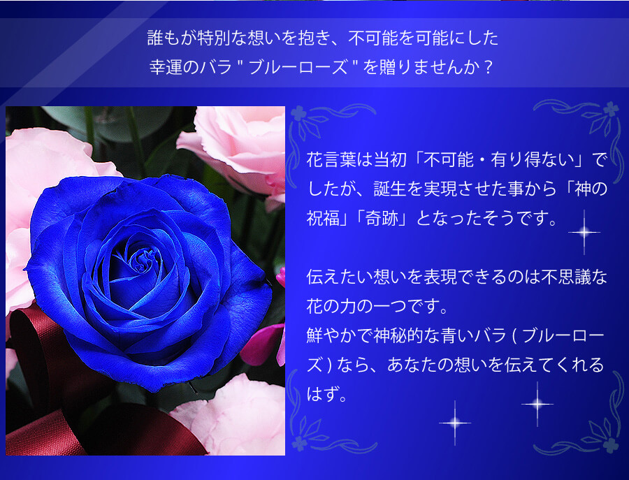 薔薇 言葉 青い 花