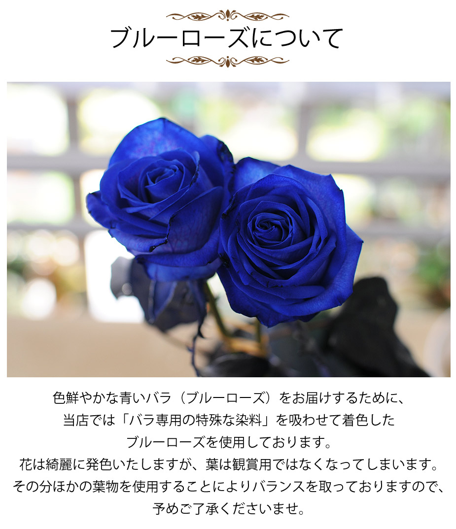 青いバラ ブルーローズ100本の花束 青い薔薇 ブルーローズ 青いバラ 薔薇 ばら の花束 エーデルワイス 花の贈り物 フラワーギフト通販 花宅配 水戸市