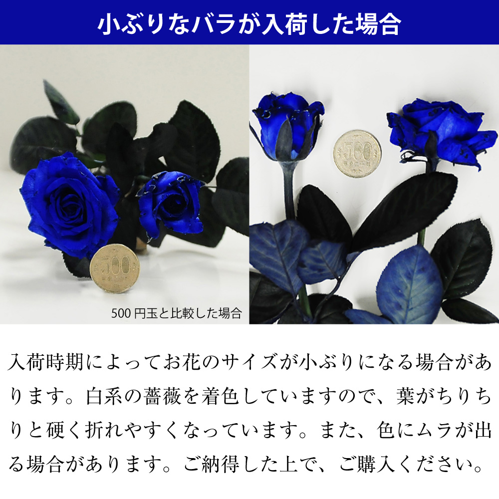 青いバラ ブルーローズ50本の花束 青い薔薇 ブルーローズ 青いバラ 薔薇 ばら の花束 エーデルワイス 花の贈り物 フラワーギフト通販 花宅配 水戸市