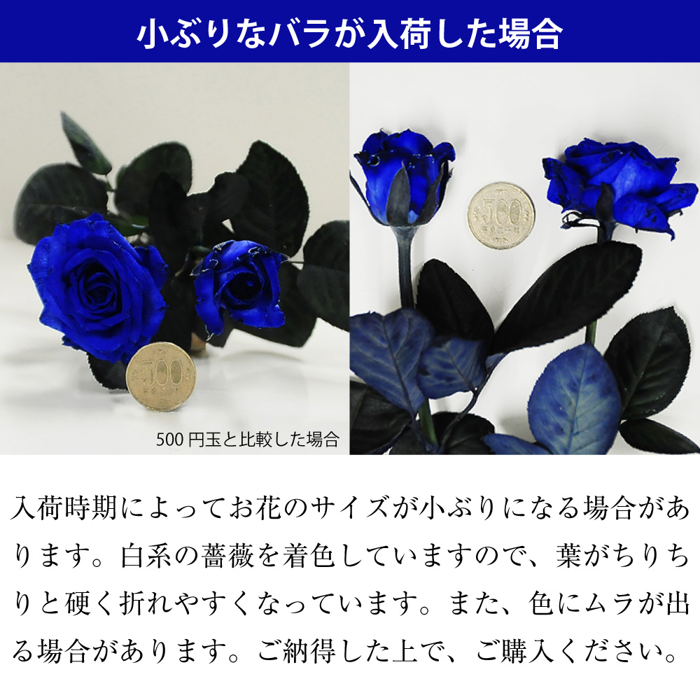 青いバラ ブルーローズ本の花束 青い薔薇 ブルーローズ 青いバラ 薔薇 ばら の花束 エーデルワイス 花の贈り物 フラワーギフト通販 花宅配 水戸市