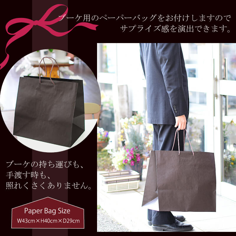 u[Pp̃y[p[obOt܂̂ŃTvCYoł܂Bu[P̎^тAnAƂꂭ܂BPaper Bag SizeBW43cm~H40cm~D29cmB