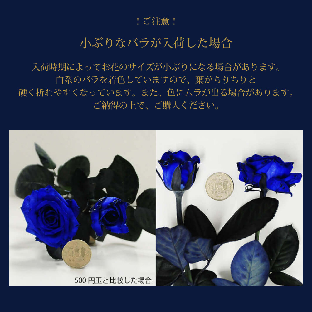 ỏԑ