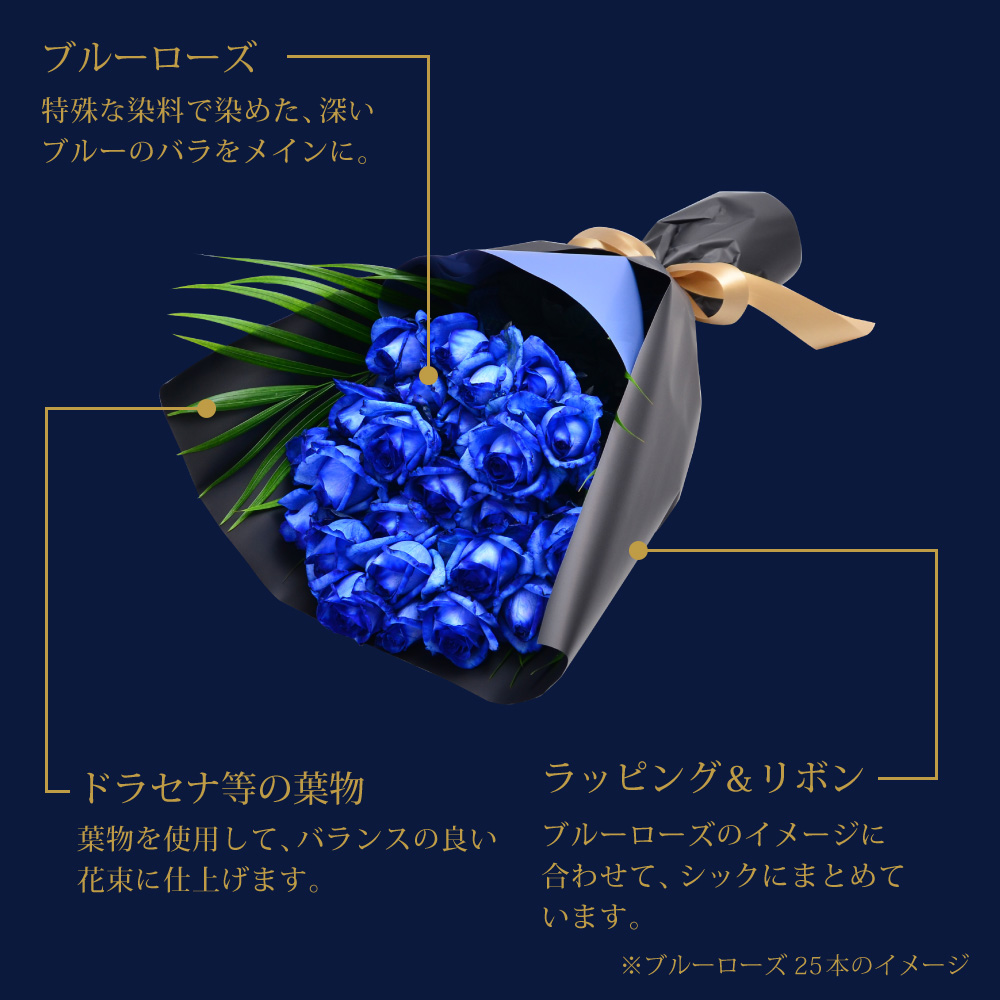 o25{̉ԑ