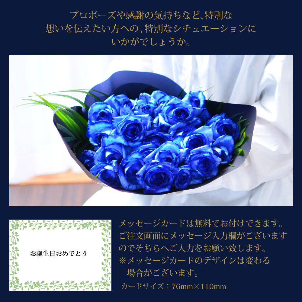 o25{̉ԑ