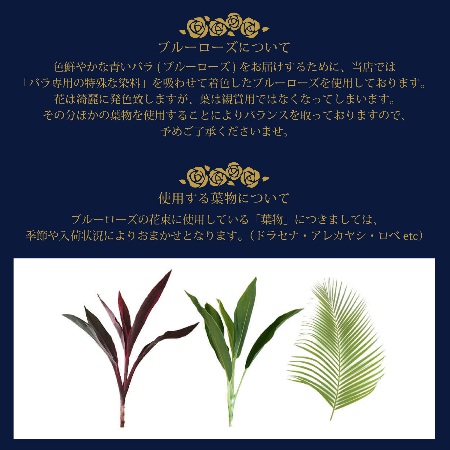 �o��30�{�̉ԑ�