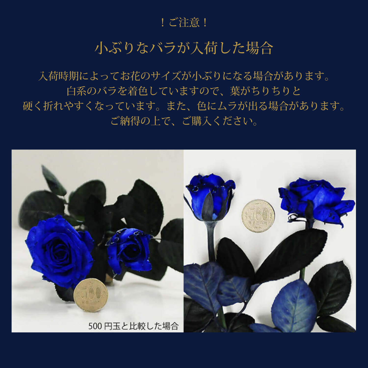 �o��30�{�̉ԑ�