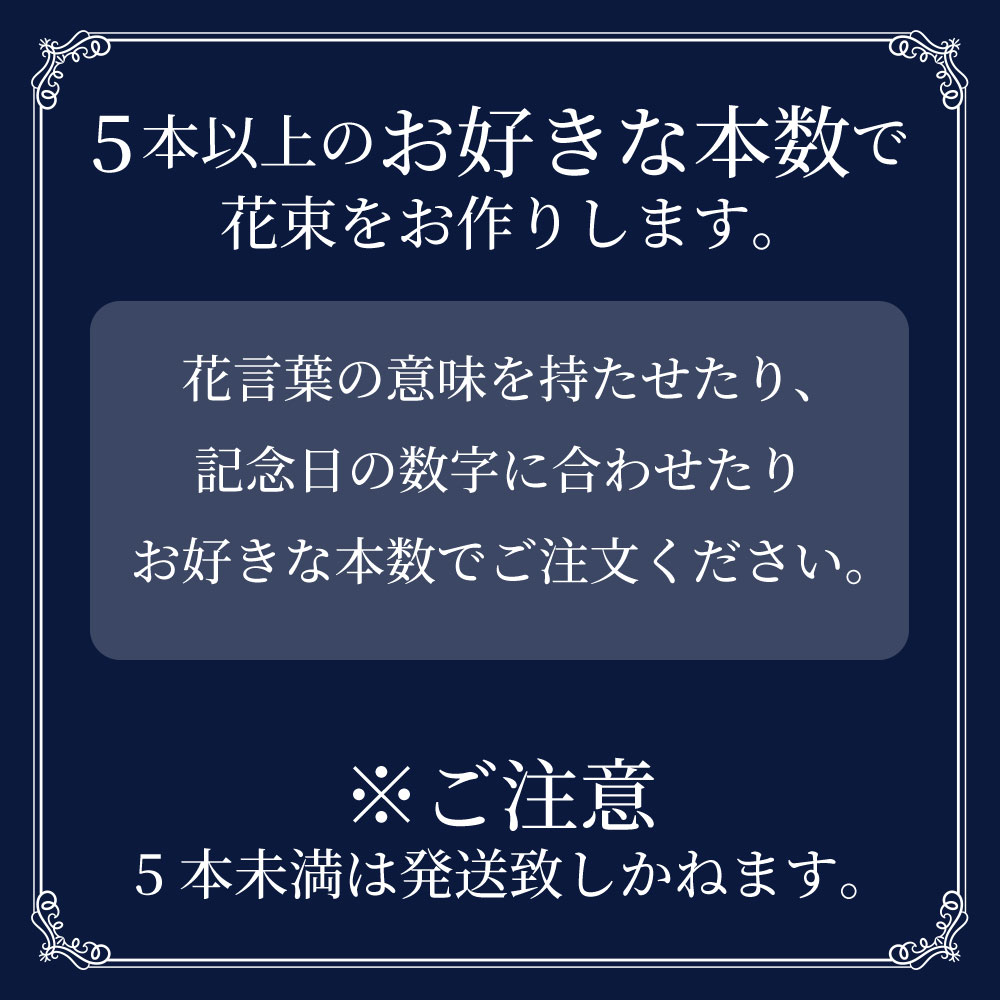 ���o���{���w��̉ԑ�