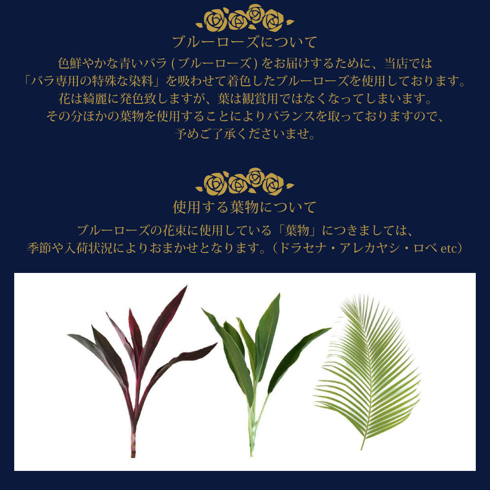 ���o���{���w��̉ԑ�