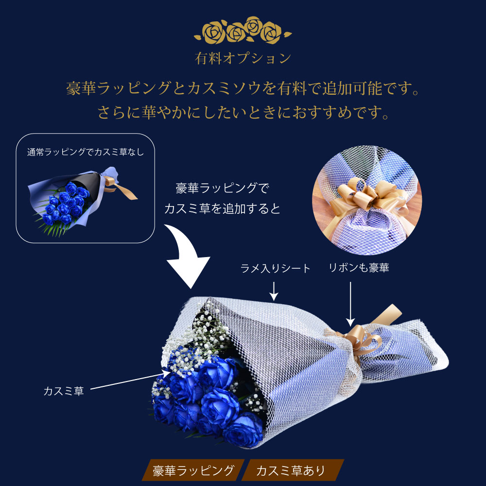 �L���I�v�V��������