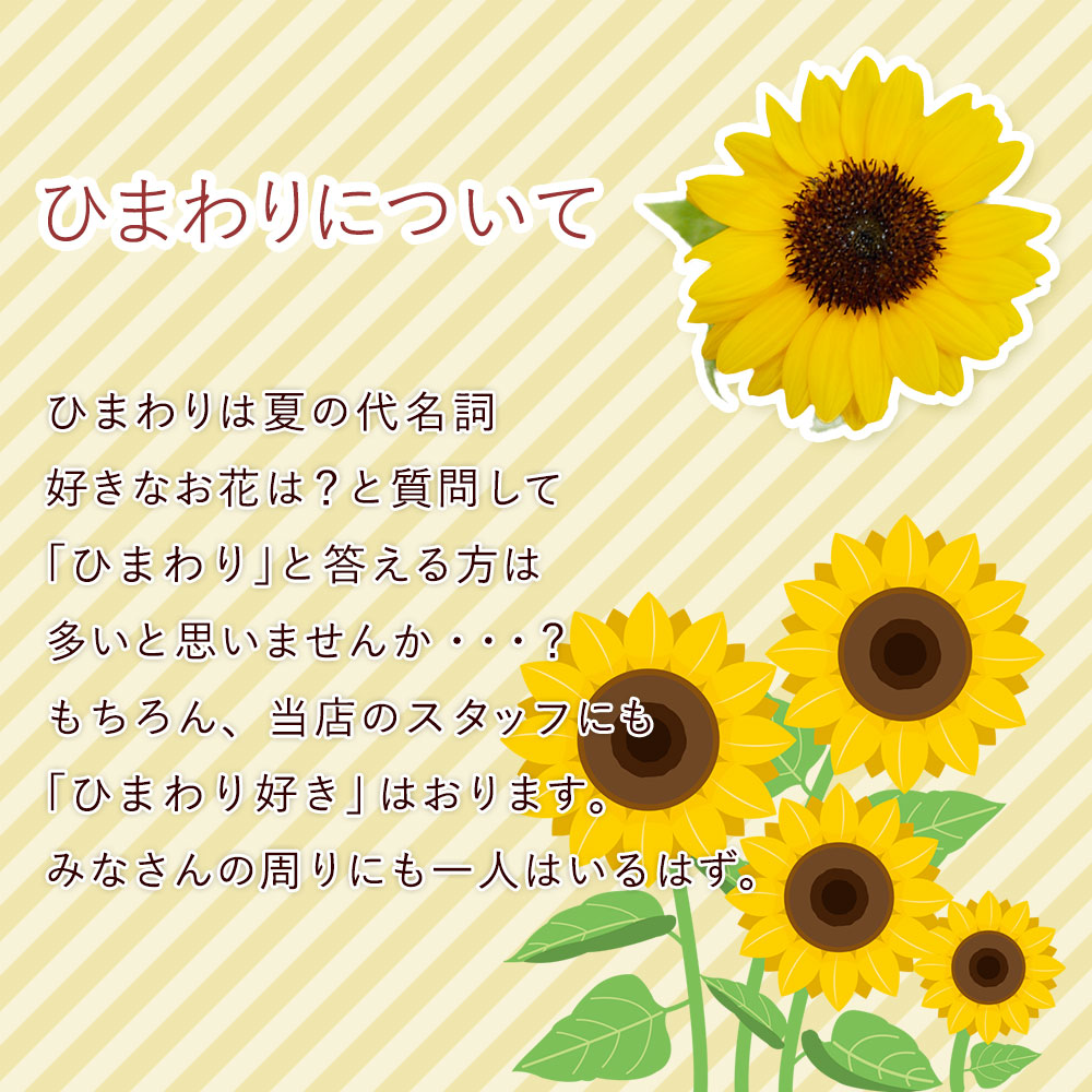 Ђ܂  q} ԑ u[P