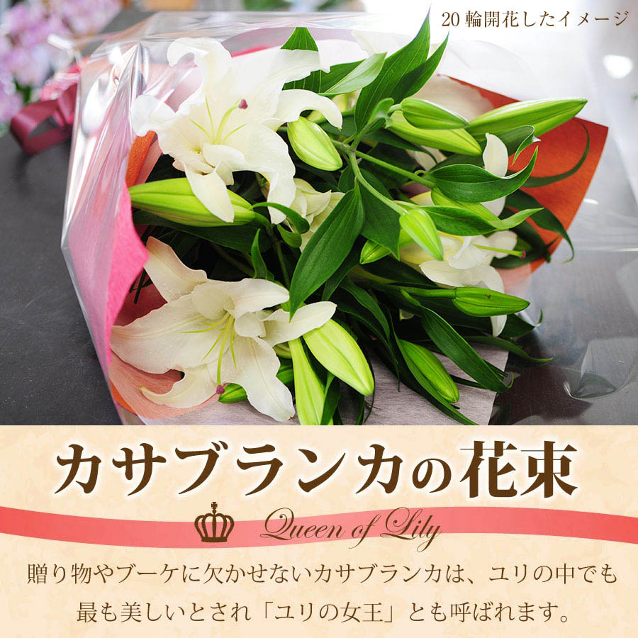 豪華大輪系 カサブランカの花束 15輪 輪 30輪 40輪 50輪 カサブランカ 白ユリ 百合 ゆり ユリ 花束 白ユリ ピンクユリ 百合 ゆり エーデルワイス 花の贈り物 フラワーギフト通販 花宅配 水戸市