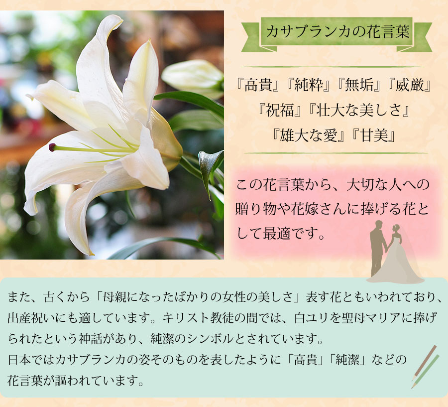 豪華大輪系 カサブランカの花束 15輪 輪 30輪 40輪 50輪 カサブランカ 白ユリ 百合 ゆり ユリ 花束 白ユリ ピンクユリ 百合 ゆり エーデルワイス 花の贈り物 フラワーギフト通販 花宅配 水戸市