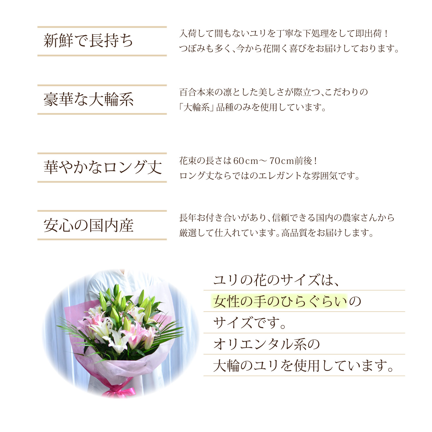 �����̉Ԃ̃T�C�Y�͏����̂Ă̂Ђ炮�炢
