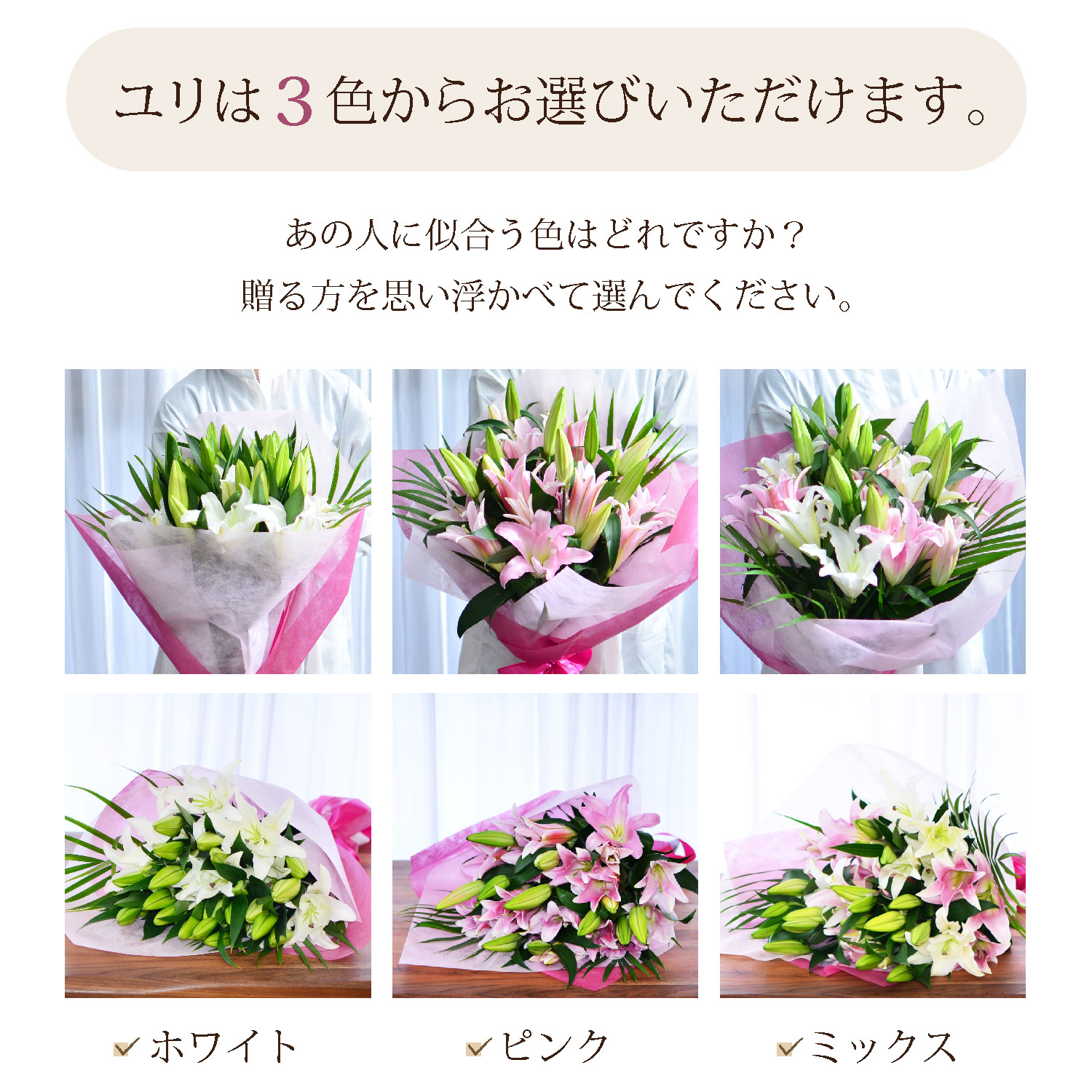 �S����3�F���炨�I�т��������܂�