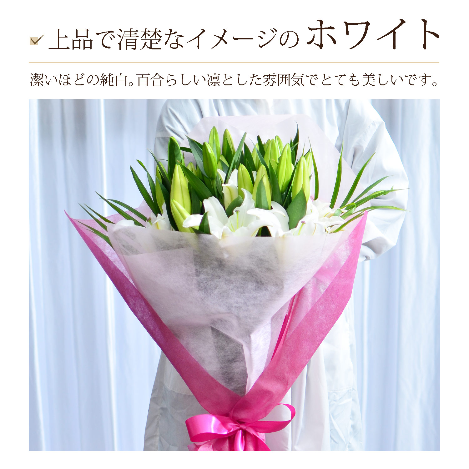 ��i�Ő��^�ȃC���[�W�̃z���C�g