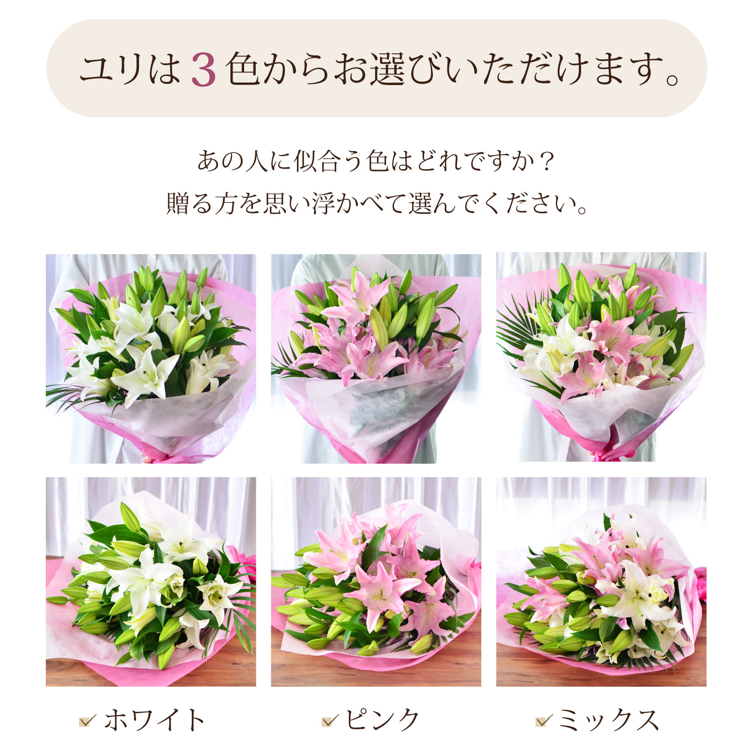 �S����3�F���炨�I�т��������܂�