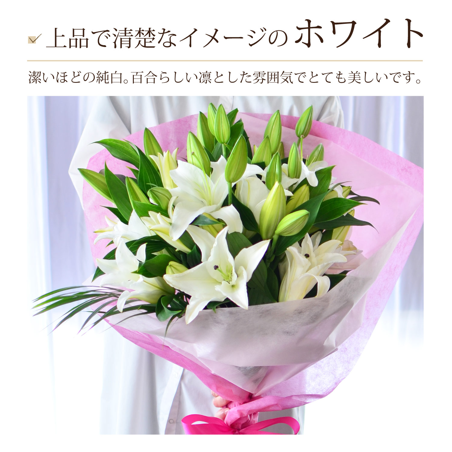 ��i�Ő��^�ȃC���[�W�̃z���C�g