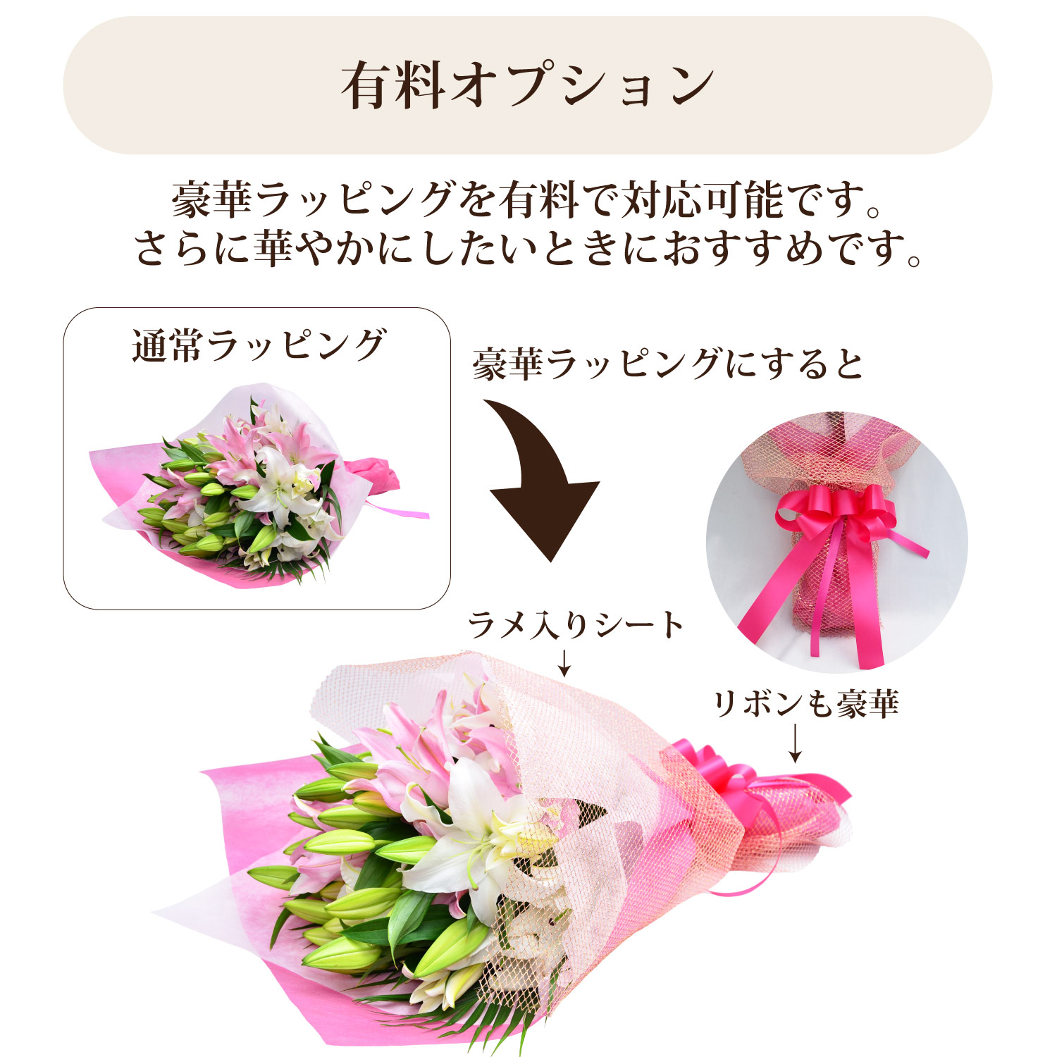�L���I�v�V�����^���؃��b�s���O