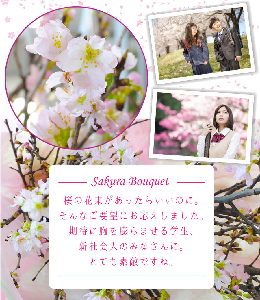 Sakura Bouquet。桜の花束があったらいいのに。そんなご要望にお応えしました。期待に胸を膨らませる学生、新社会人のみなさんに。とても素敵ですね。