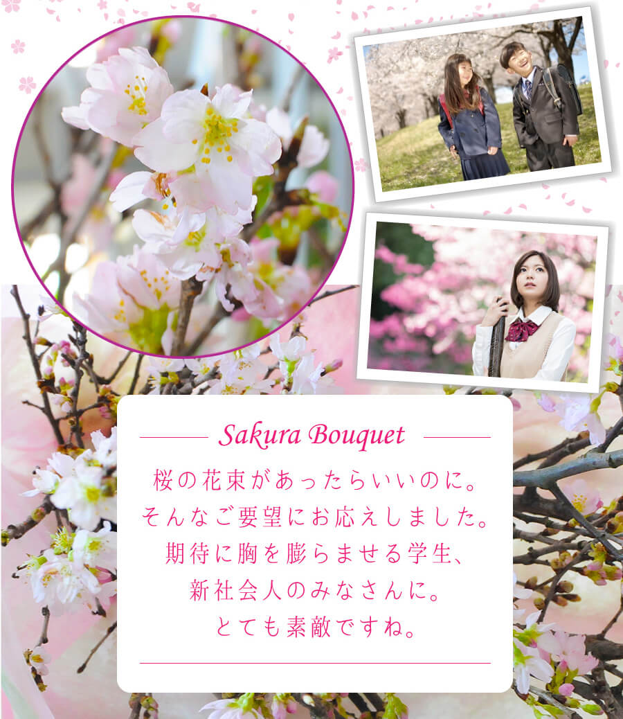 Sakura BouquetB̉ԑ炢̂ɁBȂv]ɂ܂B҂ɋc܂wAVЉl݂̂ȂɁBƂĂfGłˁB