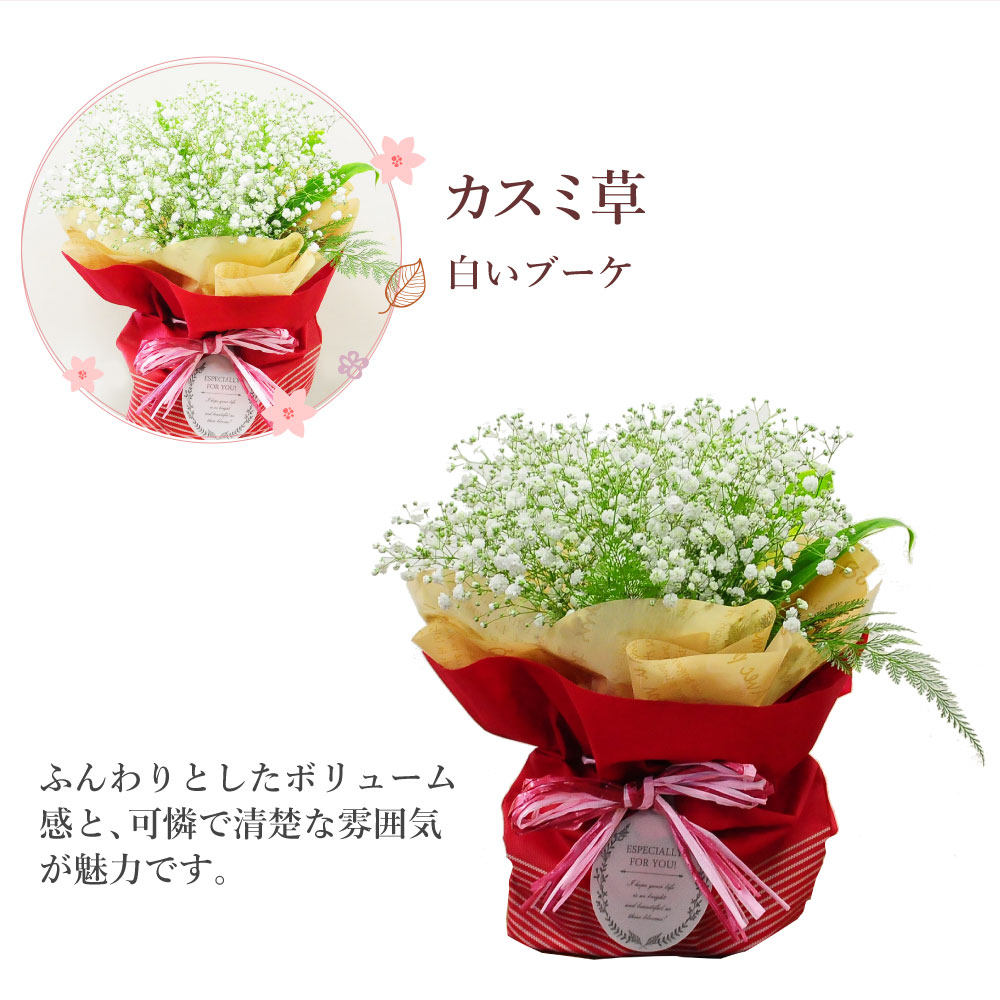 ���̂܂܏����u�[�P