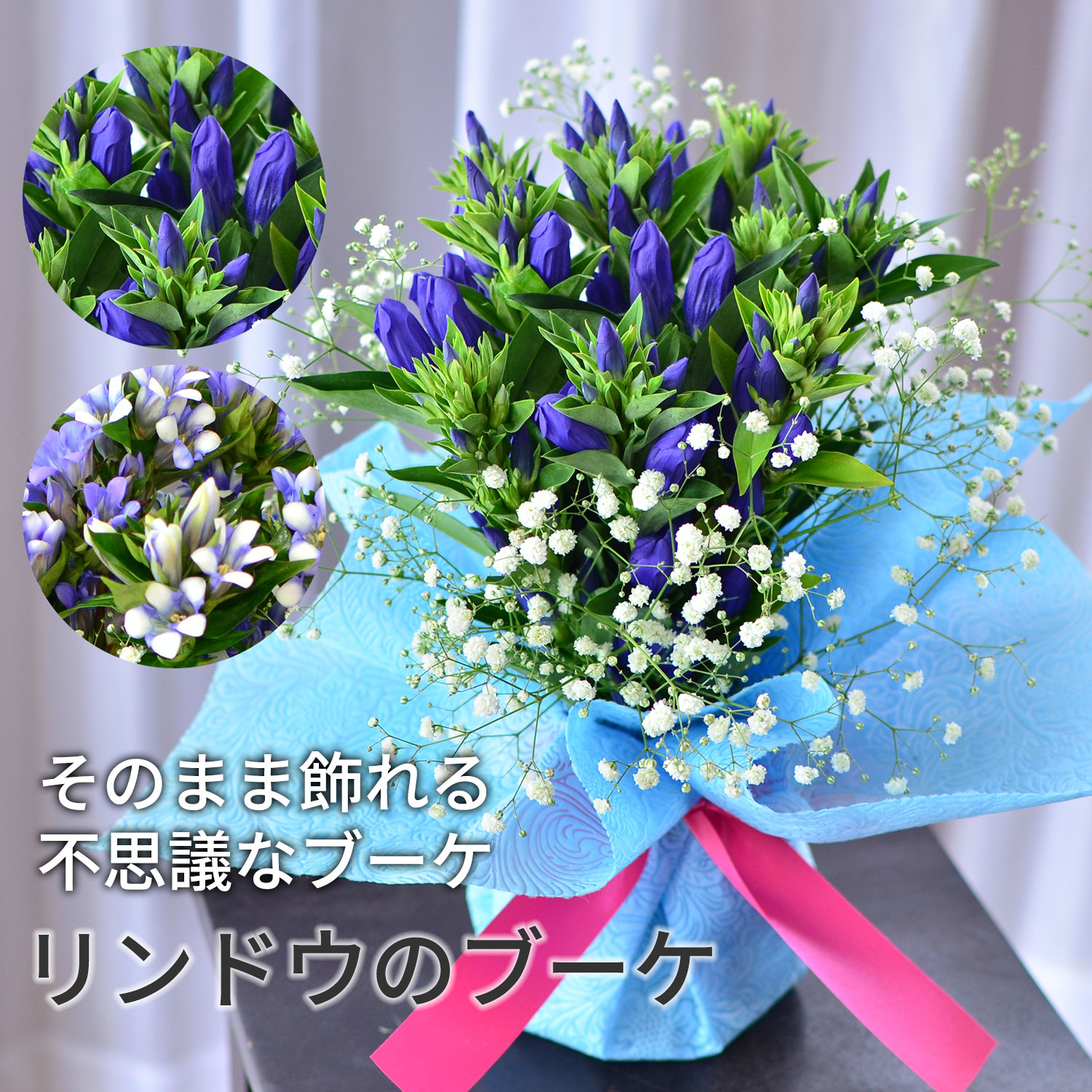 ���̂܂܏���郊���h�E�̕s�v�c�ȃu�[�P
