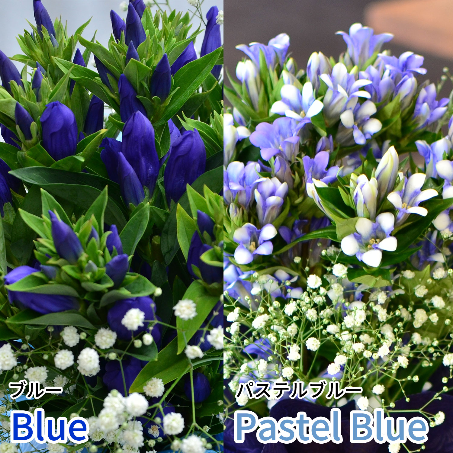 ���̂܂܏���郊���h�E�̕s�v�c�ȃu�[�P