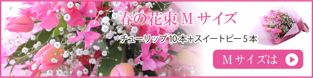 MTCY