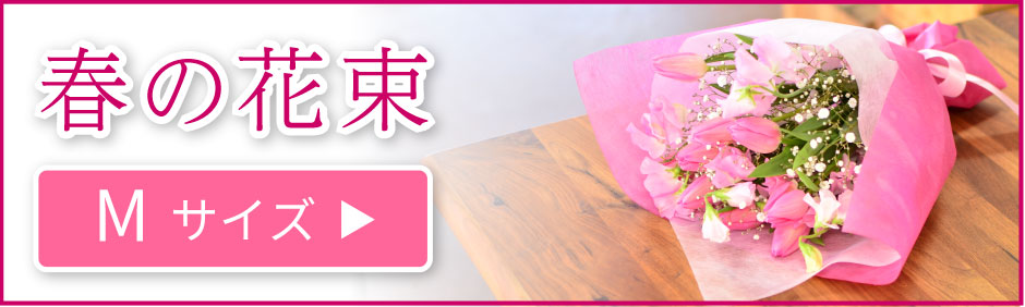 �t�̉ԑ�M�T�C�Y