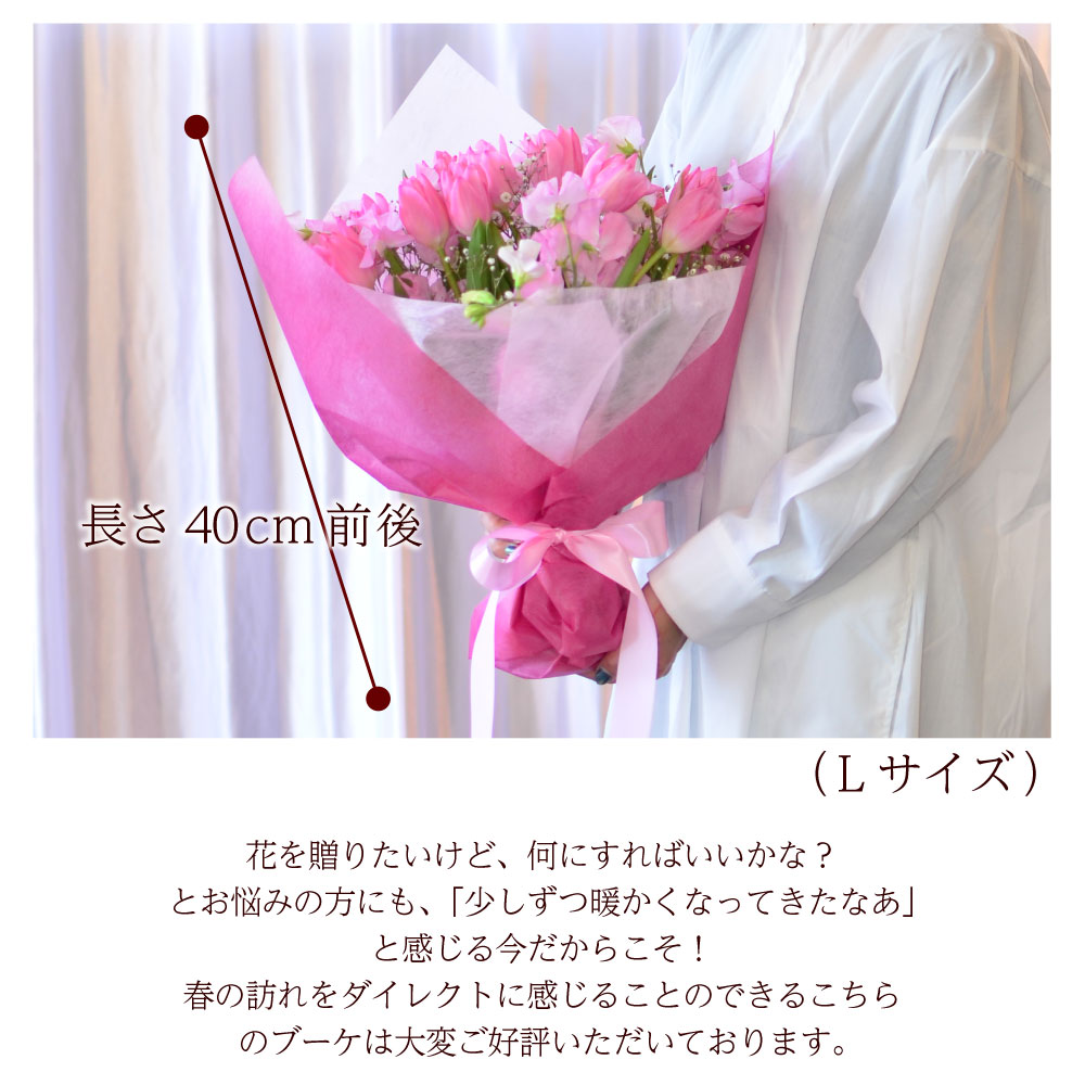 �t�̉ԑ�L�T�C�Y