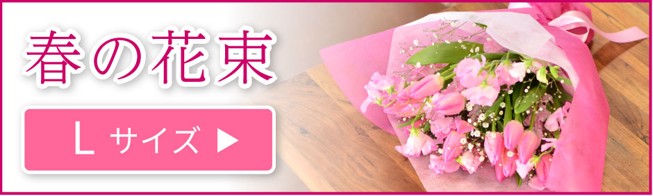 �t�̉ԑ�L�T�C�Y