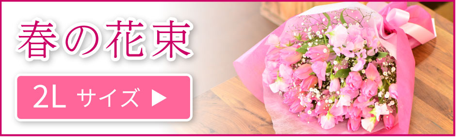 �t�̉ԑ�2L�T�C�Y