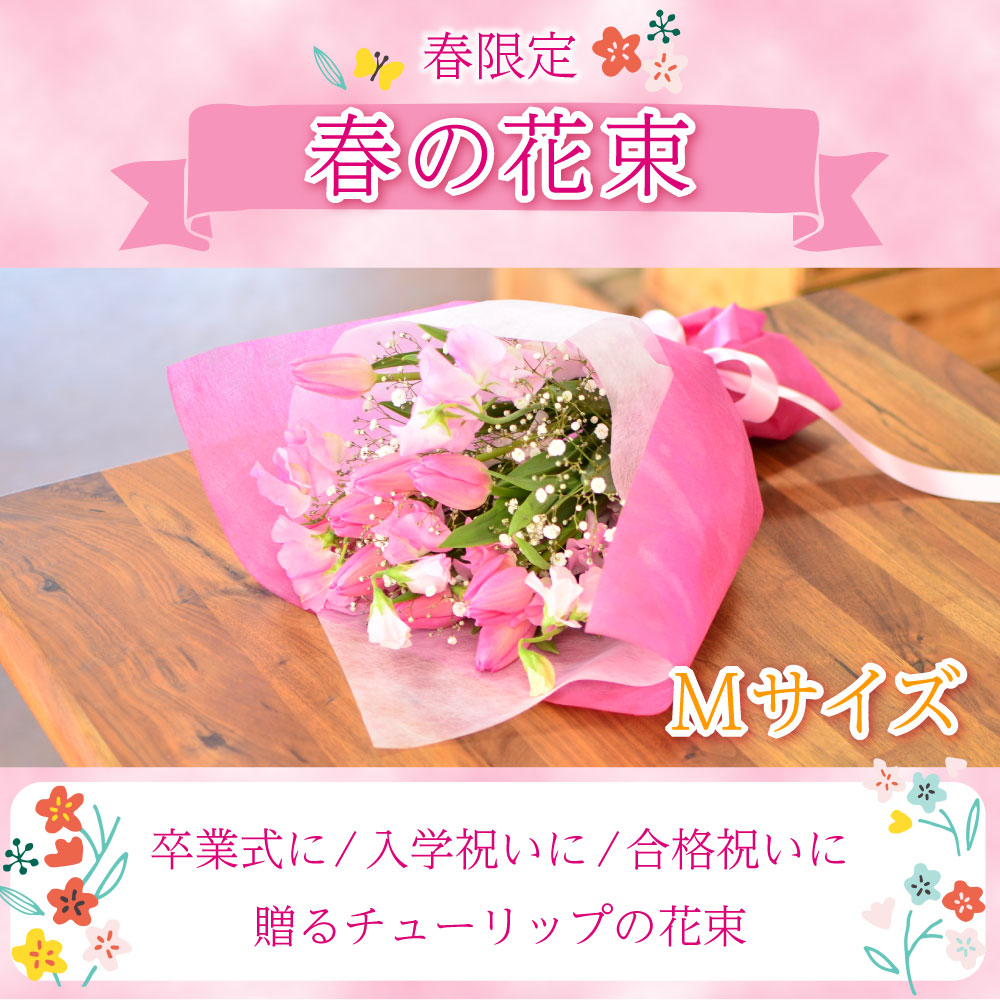 �t�̉ԑ�M�T�C�Y