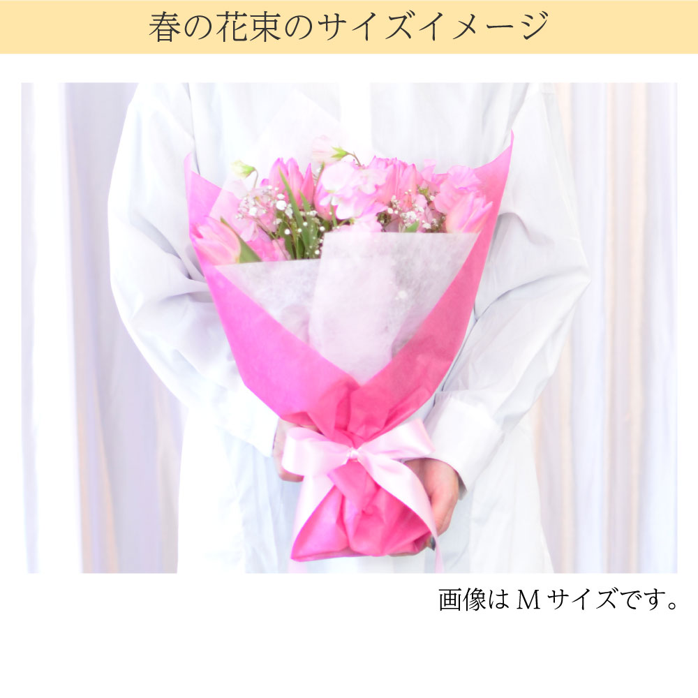 �t�̉ԑ�M�T�C�Y