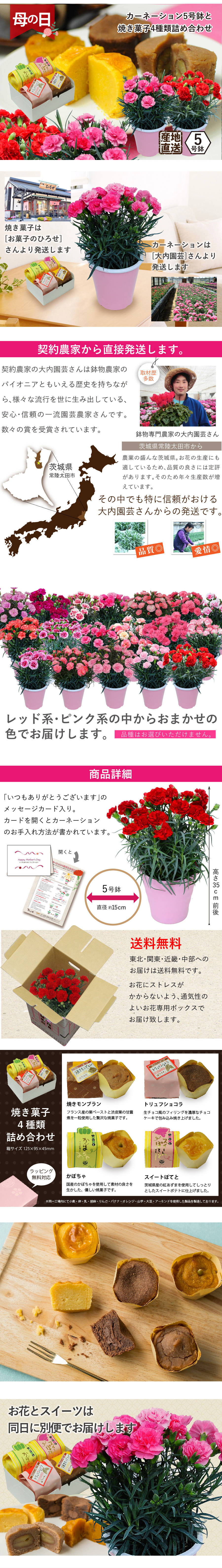 母の日 プレゼント 花 スイーツ ギフト 母の日ギフト 母の日 2023 花 カーネーション5号鉢と焼き菓子4種類詰め合わせ  母の日カーネーションの鉢植えギフト 30色から選べます | エーデルワイス【花の贈り物】 フラワーギフト通販 花宅配 水戸市
