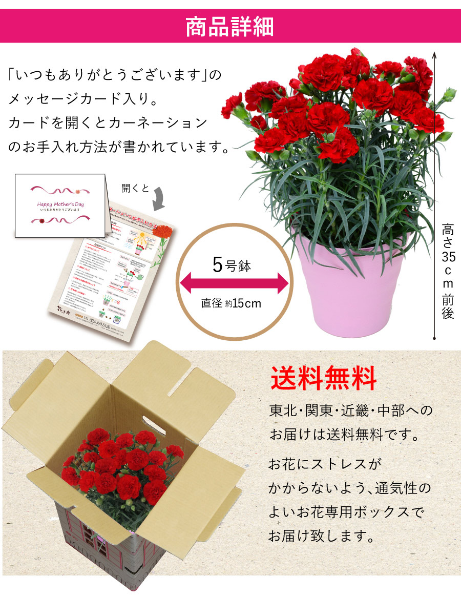 父の日母の日のプレゼントに☆ - 通販 - pinehotel.info